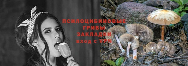 дживик Верея