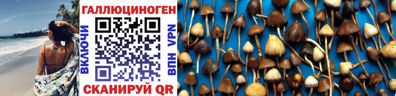 Галлюциногенные грибы мицелий  Тольятти 